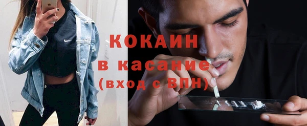 сатива Вязьма
