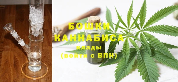 сатива Вязьма